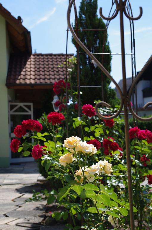 Gasthof Roseneck Wallenfels Exteriör bild
